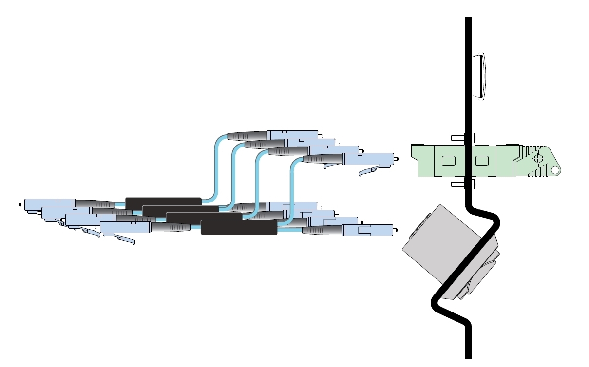 NZPFD Application Example