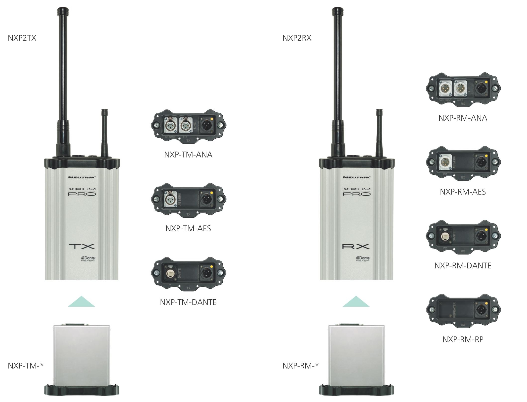 NXP-RM-DANTE / NXP-RM-DANTE-PI - Neutrik