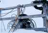 dragonfly_tpc-4