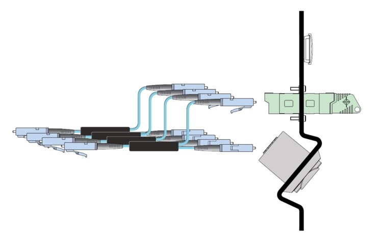NZPFD Application Example